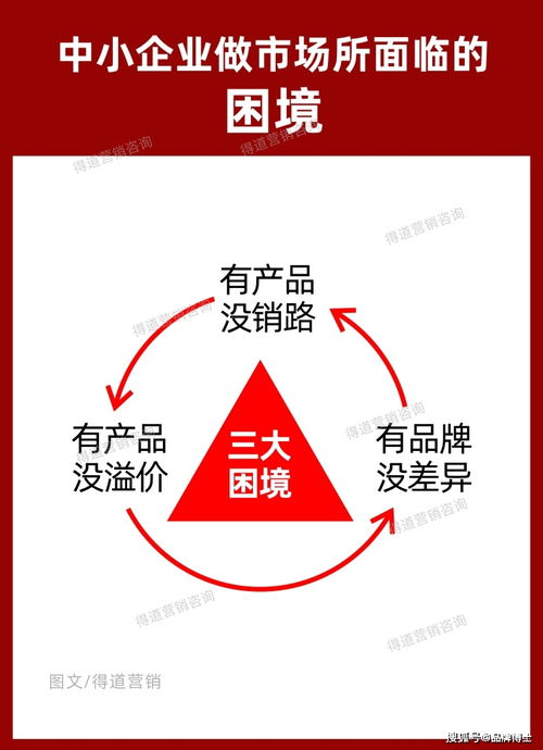 市场营销策划方案 差异化落地策略与案例解析