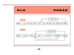 汇源集团新产品营销策划全案 从市场洞察到销售转化的全方位商务咨询策略